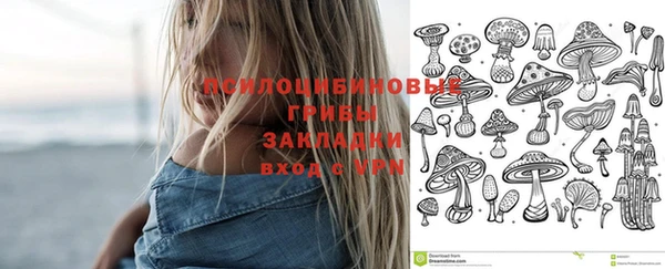 бошки Алексеевка